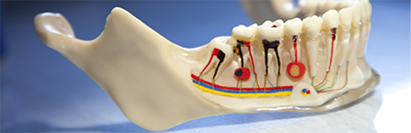 cirugia-maxilofacial-12092017153621_1.jpg