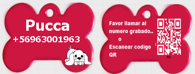 mascota_1.png